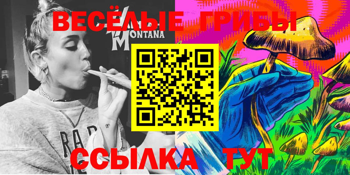 Галлюциногенные грибы мицелий  Вход с VPN  Свободный 