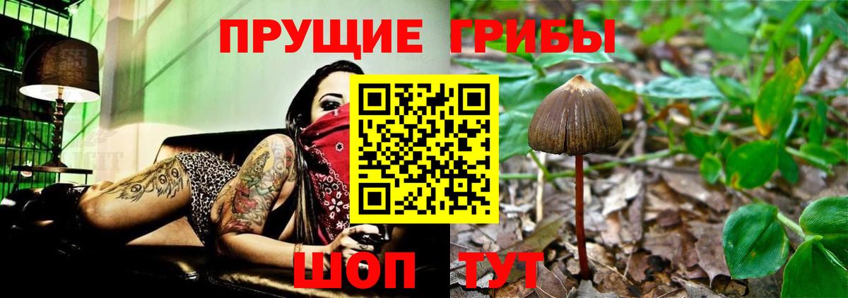 МДМА  Свободный  COCAIN  Альфа ПВП СОЛЬ   NBOMe  ГАШИШ  Мефедрон кристаллы  ГАШ  Купить  Вход с VPN 